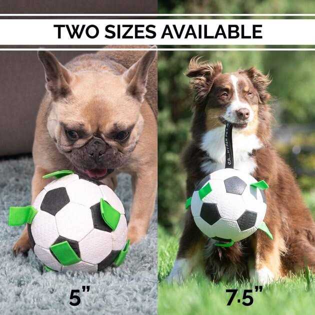 Soccer Ball Dog Toy F8491