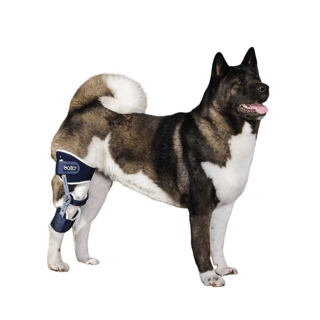 Adjustable Hinged Dog Knee Brace E15396