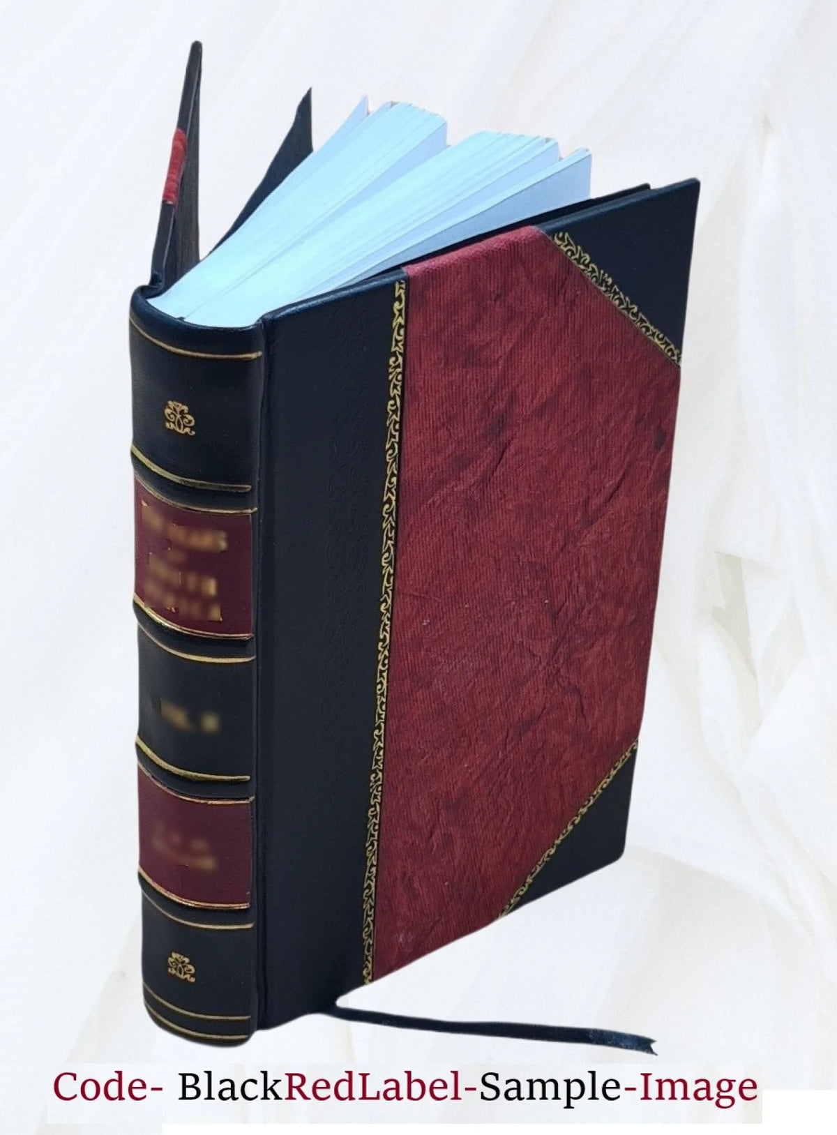 Leather Bound Book D508
