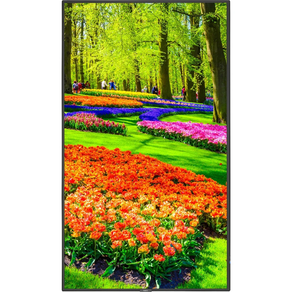 Black 43" 3840 x 2160 (4K) LED LCD Monitor Y5723