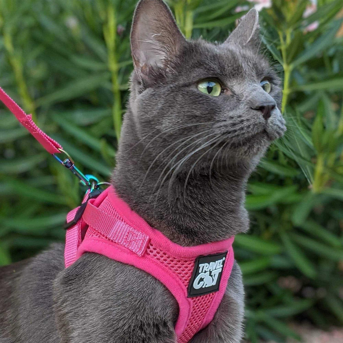 Reflective Cat & Kitten Harness and Leash U371