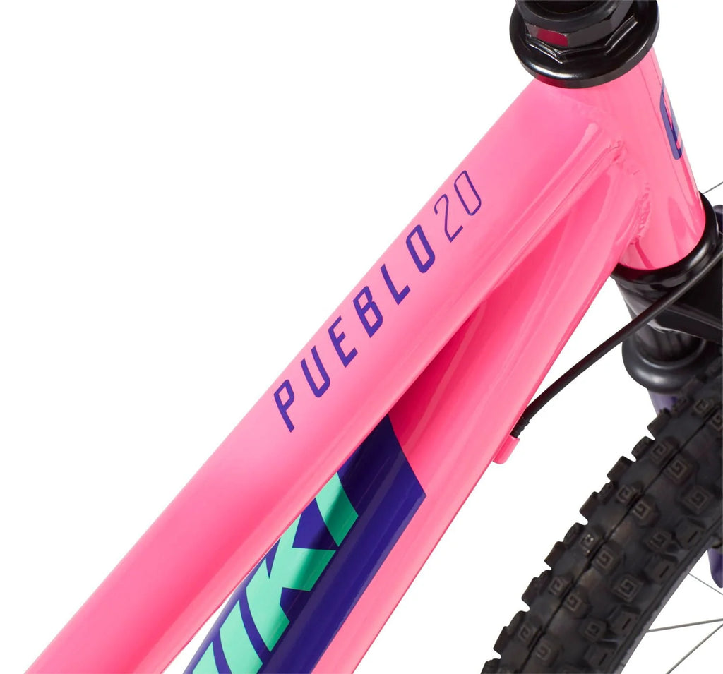 20'' Mountain Bike T3848